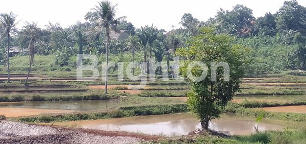 TANAH COCOK UNTUK INVESTASI