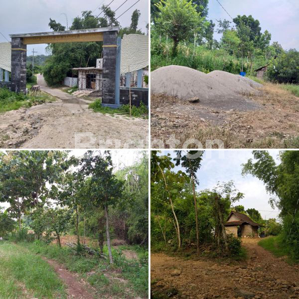 TANAH DI LAMONGAN COCOK UNTUK PERUMAHAN