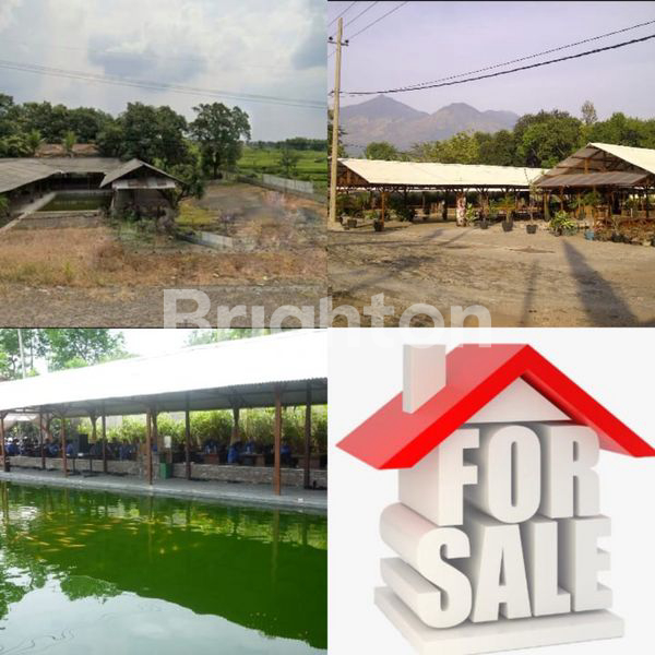 CARI TEMPAT USAHA ATO RUMAH HITUNG TANAH ? DIJUAL EX RUMAH MAKAN DI RAYA TAMAN SAFARI II PRIGEN