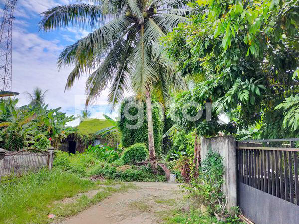 TANAH KEBUN SINGKAWANG KALIMATAN BARAT