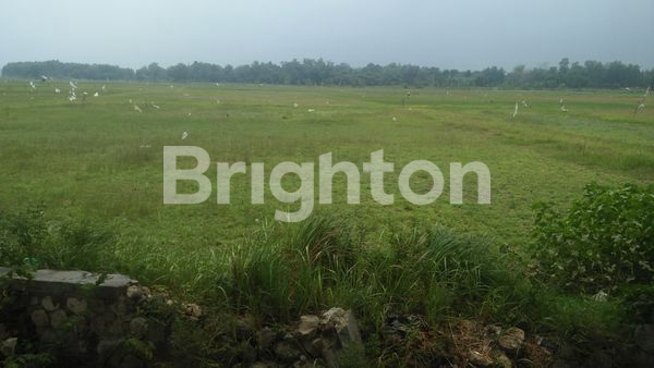 TANAH NOL JALAN DI BANGKALAN